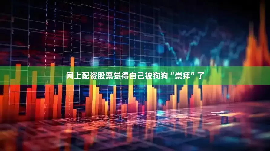 网上配资股票觉得自己被狗狗“崇拜”了